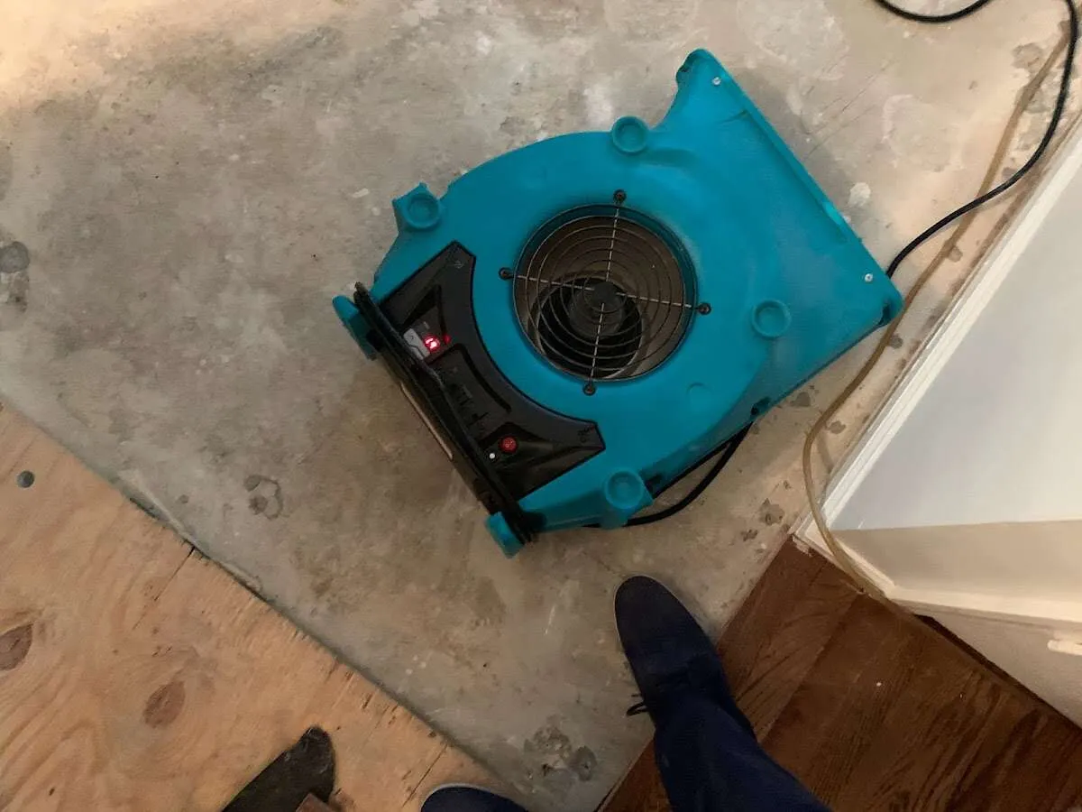 Air mover drying subfloor during Commercial Water Damage Restoration in West Bloomfield